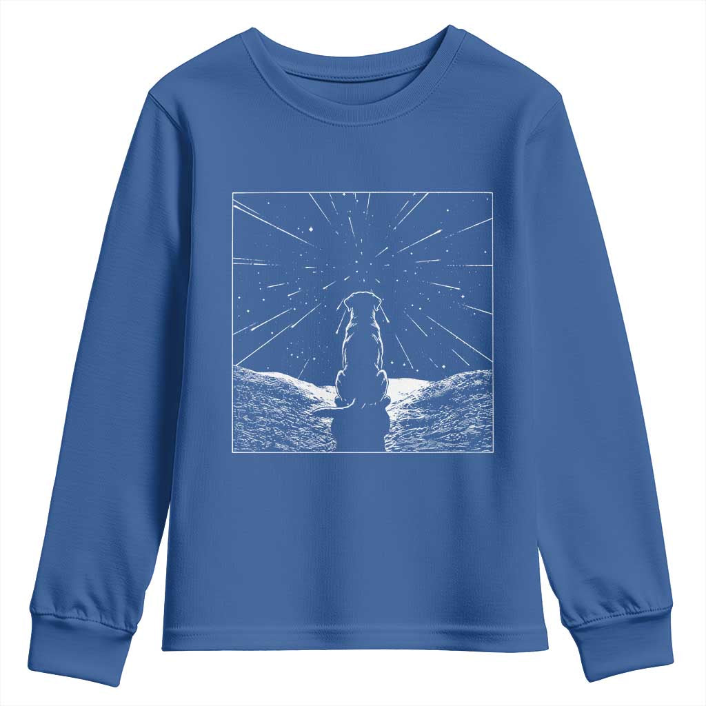 Meteor Shower Science Gift Youth Sweatshirt Dog Watching Stars TS12 Royal Blue Print Your Wear
