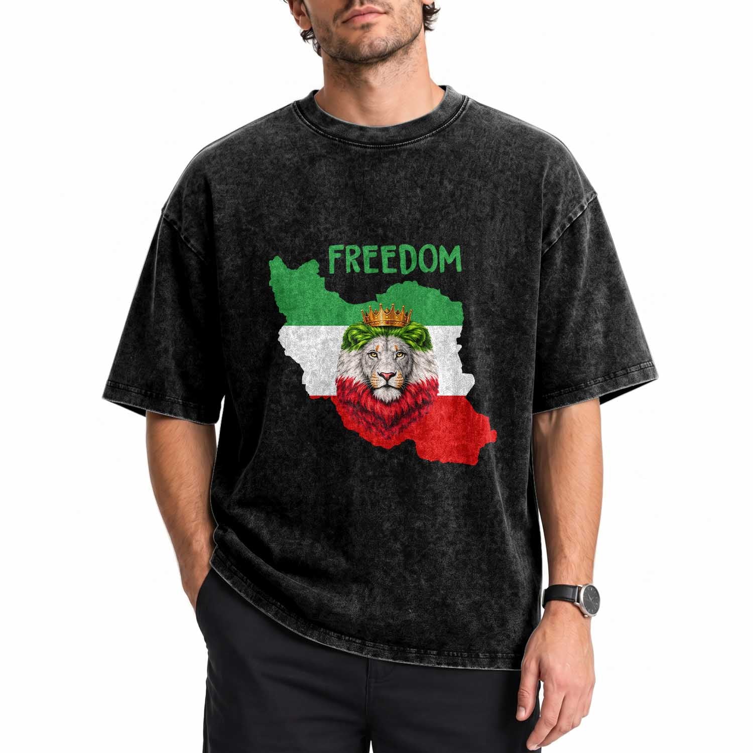 Freedom Iran Washed Cotton T-Shirt Patriotic Persian Lion Resistance Movement Gift