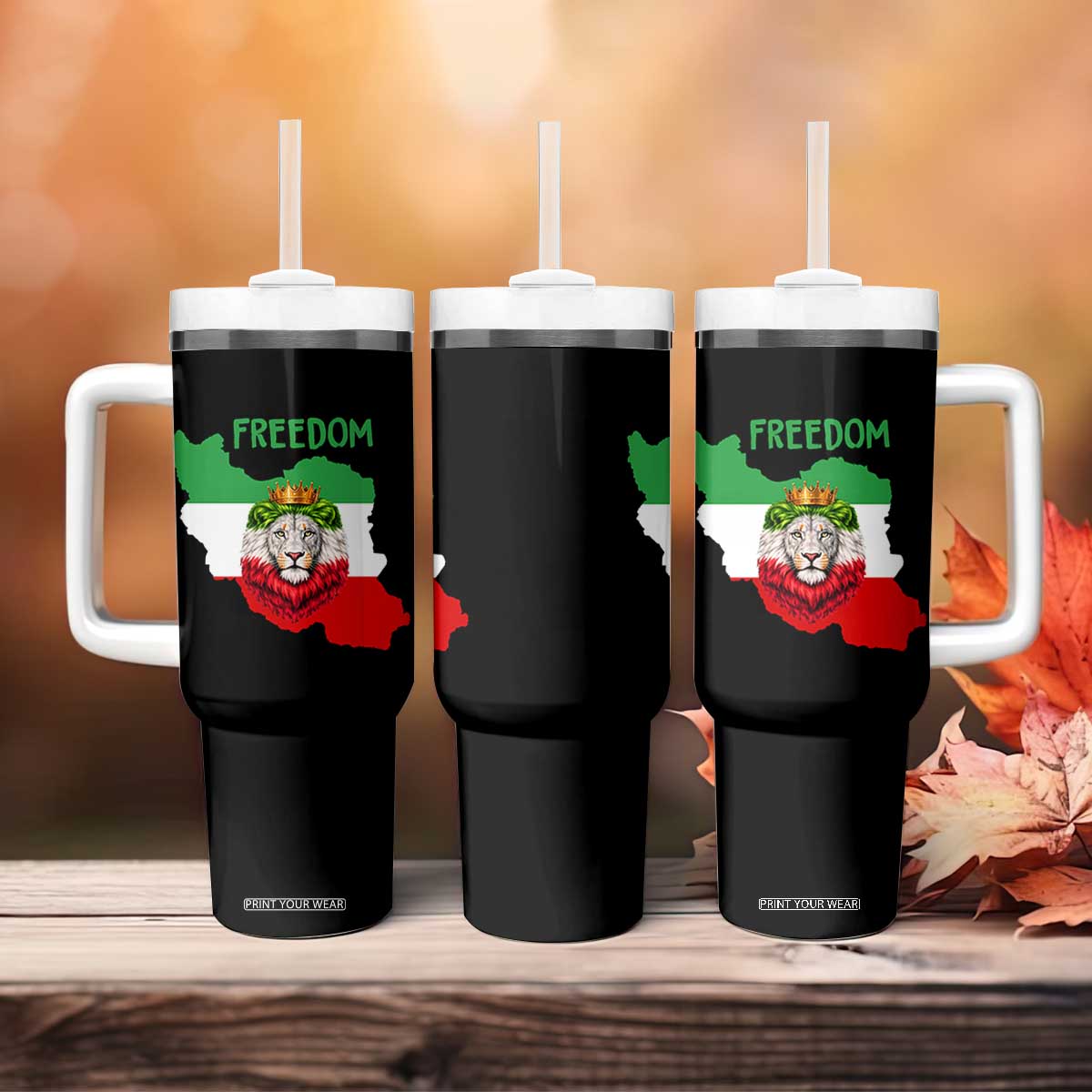 Freedom Iran Tumbler With Handle Patriotic Persian Lion Resistance Movement Gift TS12 Print Your Wear