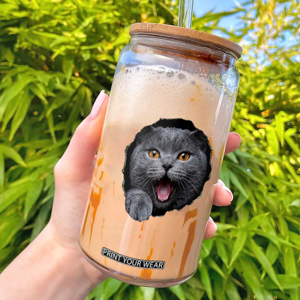 Cute British Shorthair Cat Peeking Through Cracked Wall Glass Can TS12 Black Print Your Wear
