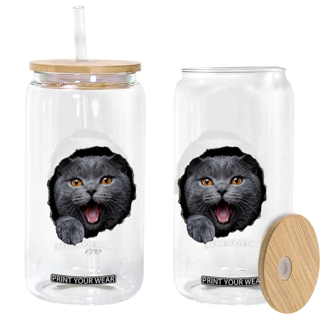 Cute British Shorthair Cat Peeking Through Cracked Wall Glass Can TS12 Print Your Wear
