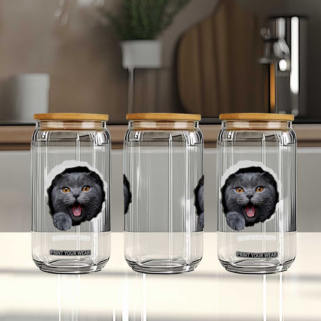 Cute British Shorthair Cat Peeking Through Cracked Wall Glass Can TS12 Print Your Wear