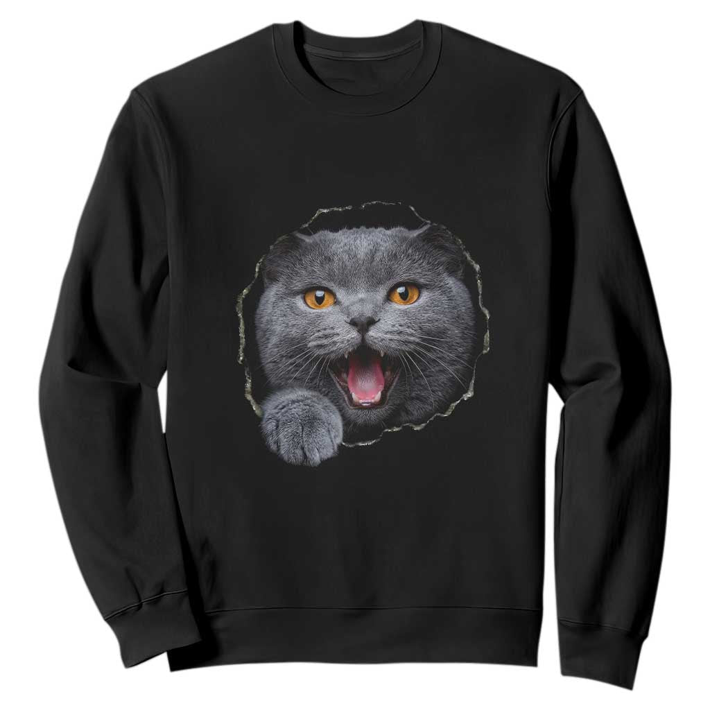 Cute British Shorthair Cat Peeking Through Cracked Wall Sweatshirt TS12 Black Print Your Wear