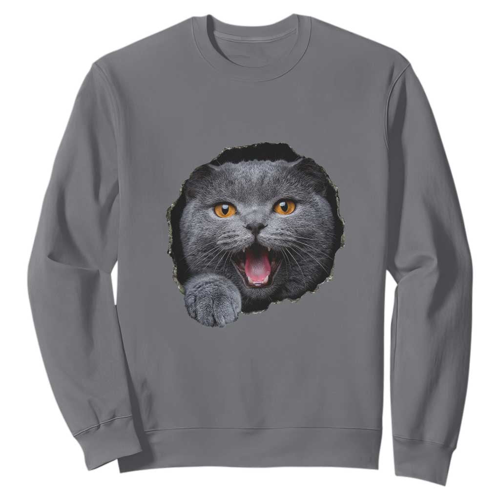 Cute British Shorthair Cat Peeking Through Cracked Wall Sweatshirt TS12 Charcoal Print Your Wear