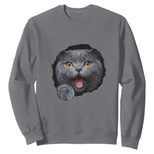 Cute British Shorthair Cat Peeking Through Cracked Wall Sweatshirt TS12 Charcoal Print Your Wear