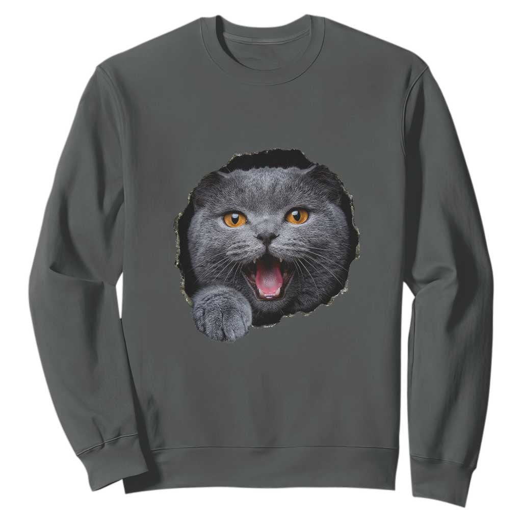 Cute British Shorthair Cat Peeking Through Cracked Wall Sweatshirt TS12 Dark Heather Print Your Wear