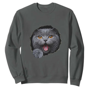 Cute British Shorthair Cat Peeking Through Cracked Wall Sweatshirt TS12 Dark Heather Print Your Wear