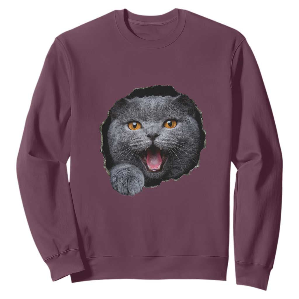 Cute British Shorthair Cat Peeking Through Cracked Wall Sweatshirt TS12 Maroon Print Your Wear