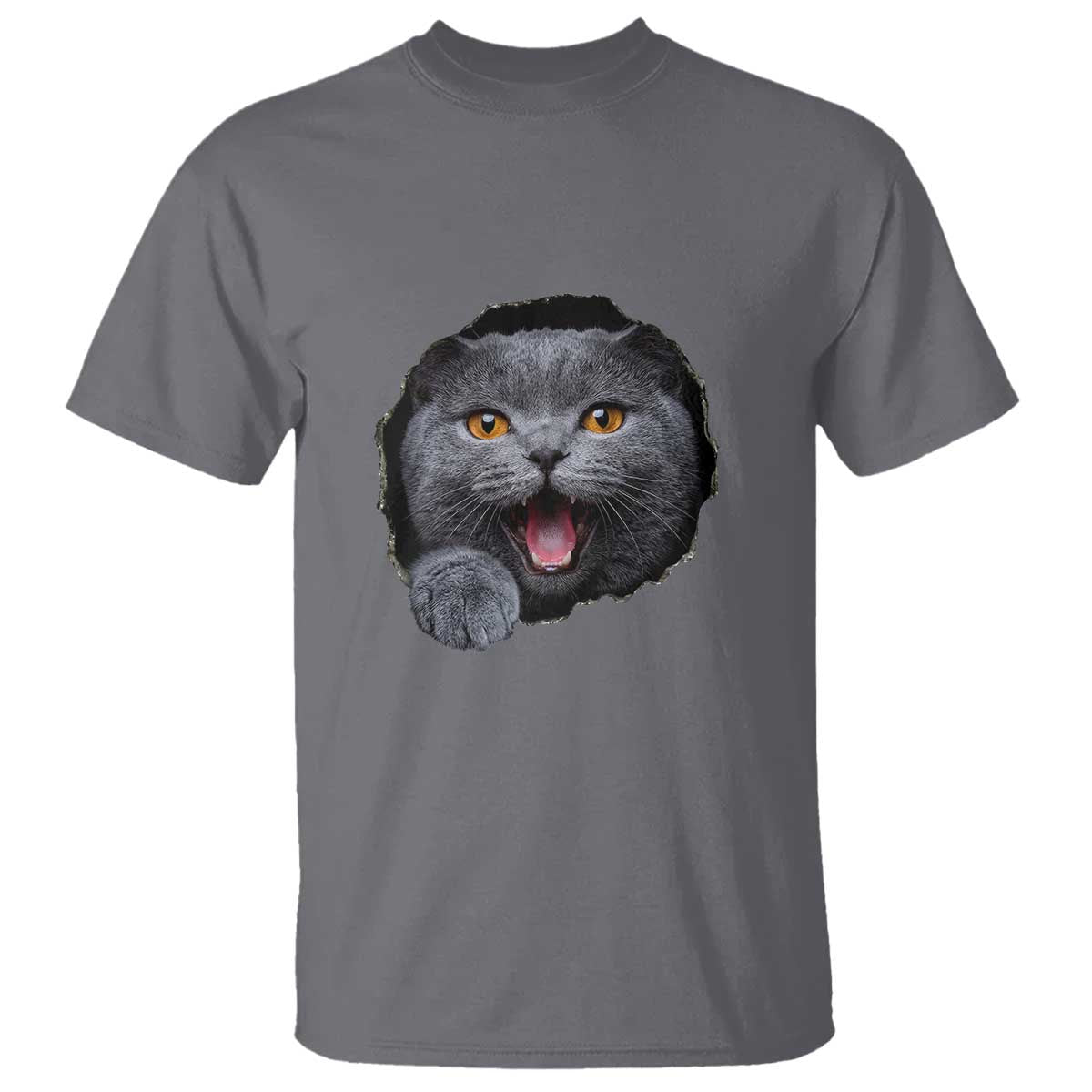 Cute British Shorthair Cat Peeking Through Cracked Wall T Shirt TS12 Charcoal Print Your Wear