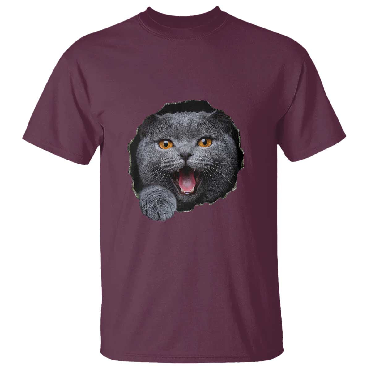 Cute British Shorthair Cat Peeking Through Cracked Wall T Shirt TS12 Maroon Print Your Wear
