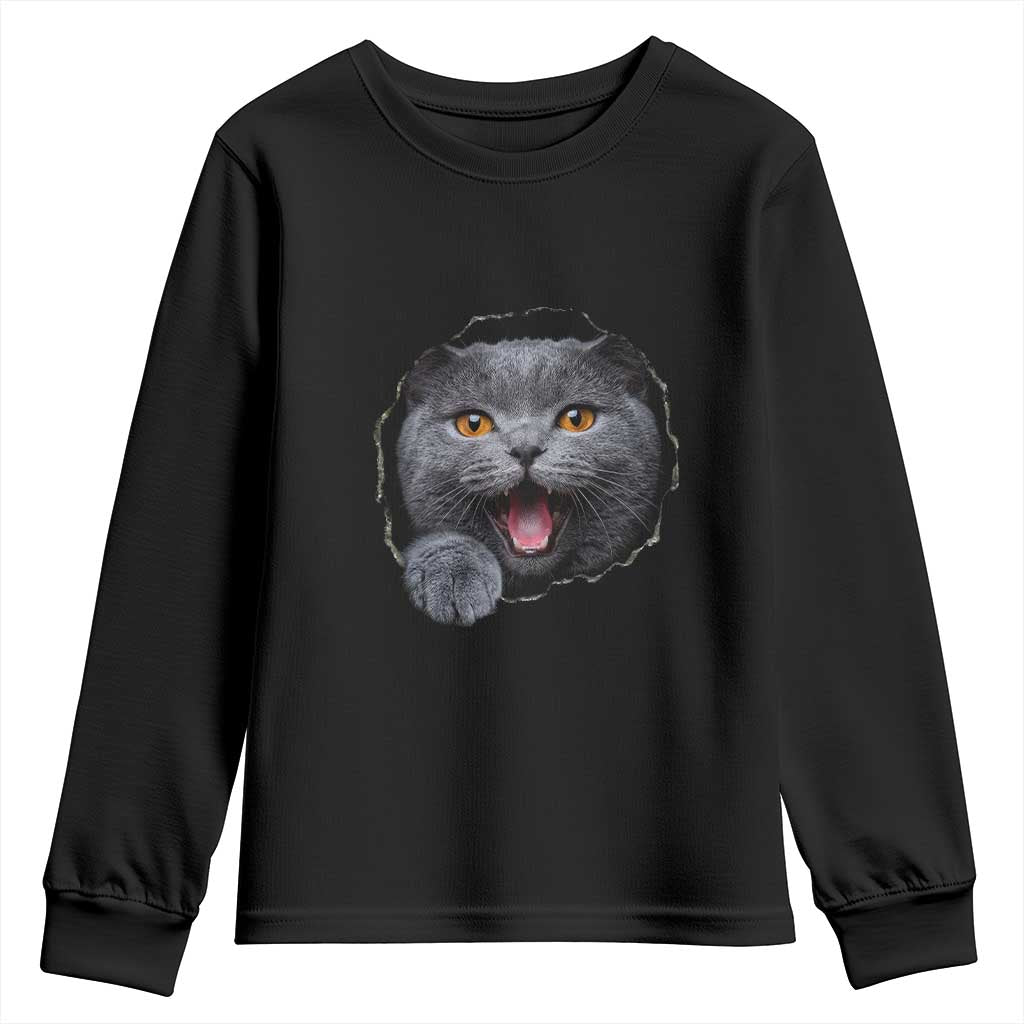 Cute British Shorthair Cat Peeking Through Cracked Wall Youth Sweatshirt TS12 Black Print Your Wear