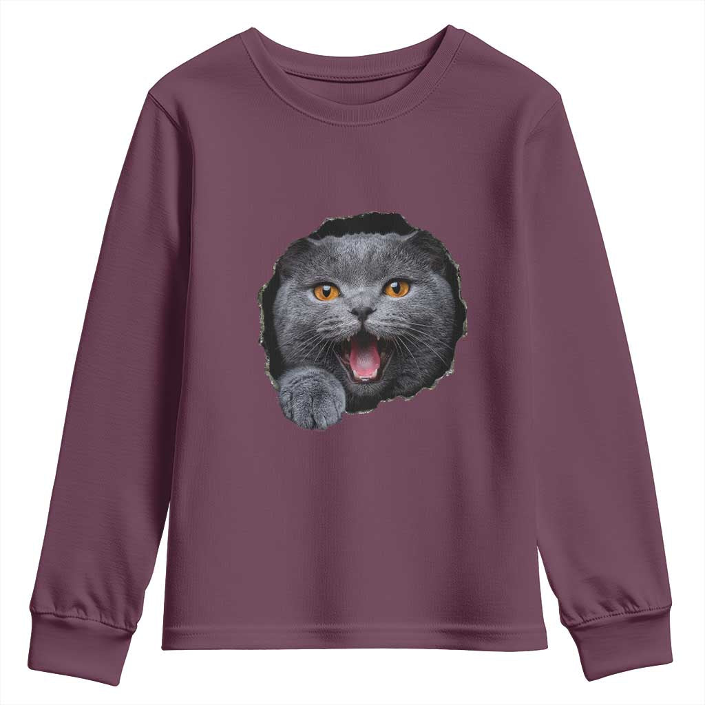 Cute British Shorthair Cat Peeking Through Cracked Wall Youth Sweatshirt TS12 Maroon Print Your Wear