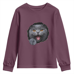 Cute British Shorthair Cat Peeking Through Cracked Wall Youth Sweatshirt TS12 Maroon Print Your Wear