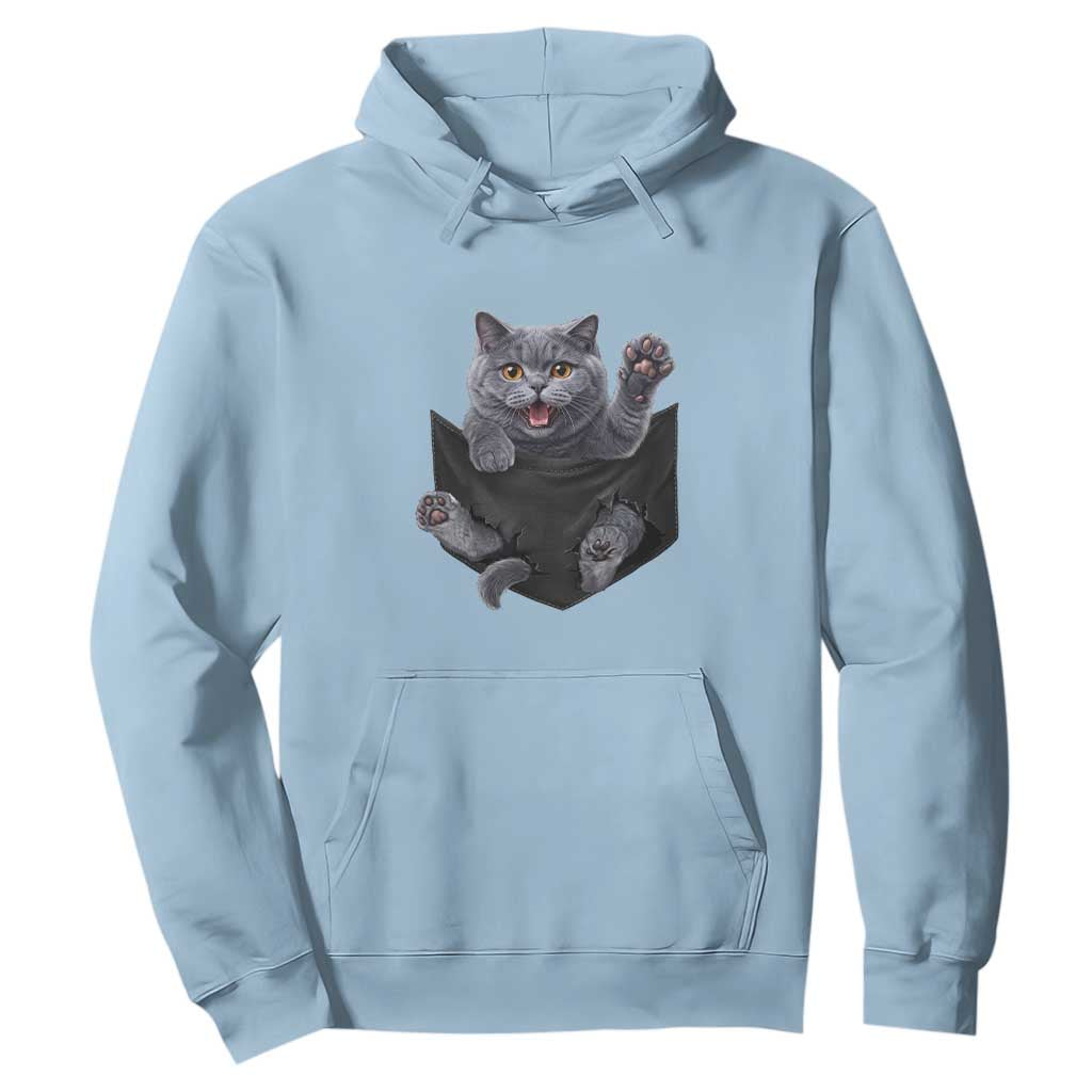 Cute British Shorthair Cat In Pocket Hoodie Cat Lover TS12 Light Blue Print Your Wear