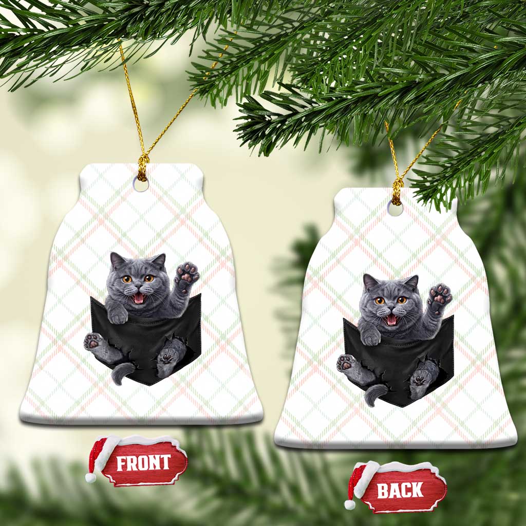 Cute British Shorthair Cat In Pocket Ceramic Ornament Cat Lover TS12 Print Your Wear