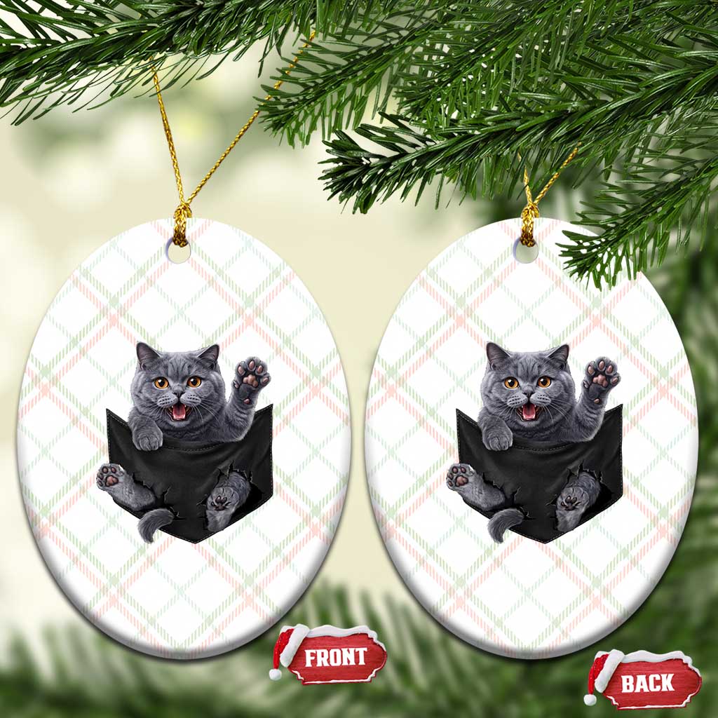 Cute British Shorthair Cat In Pocket Ceramic Ornament Cat Lover TS12 Print Your Wear