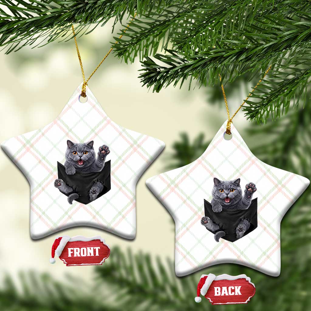 Cute British Shorthair Cat In Pocket Ceramic Ornament Cat Lover TS12 Print Your Wear
