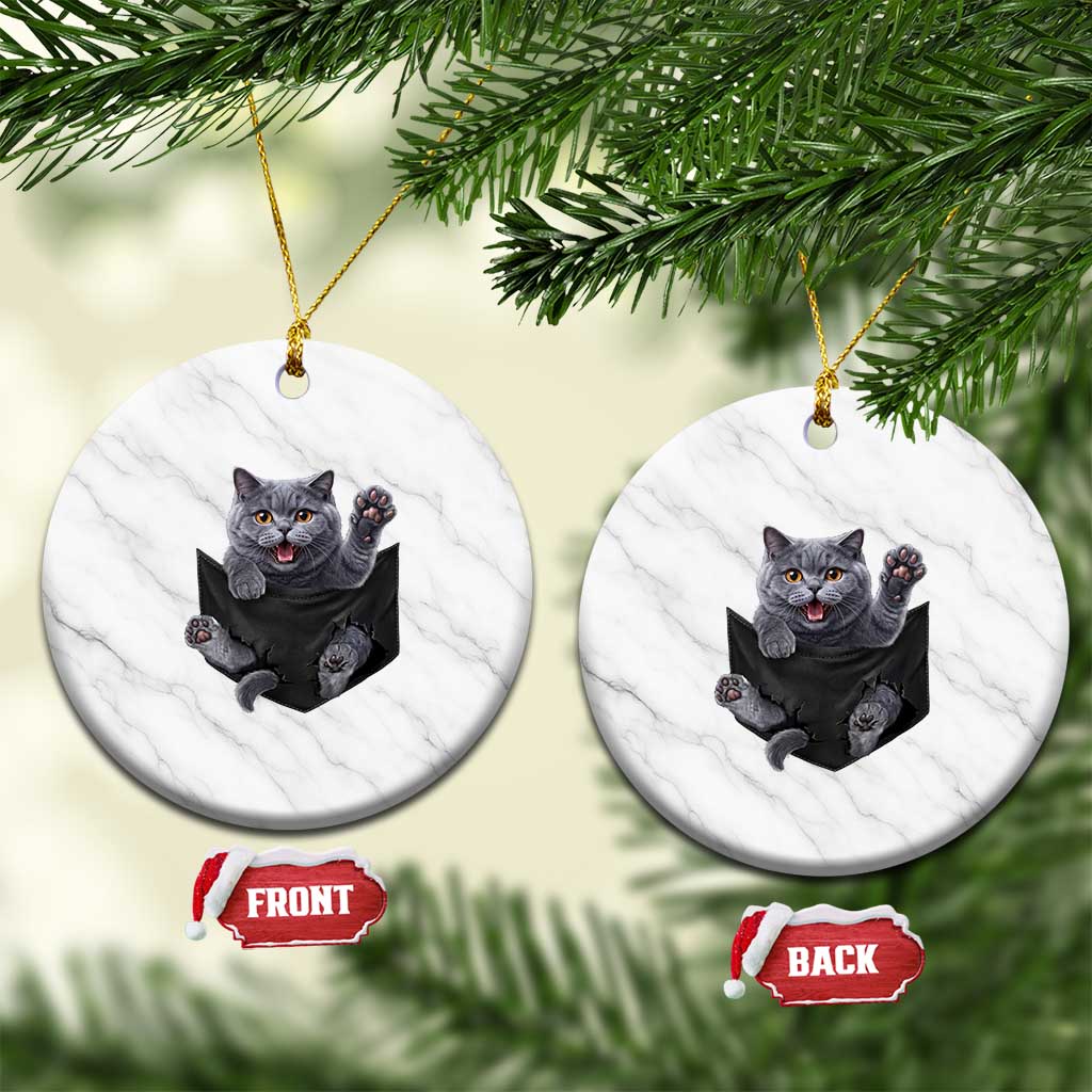 Cute British Shorthair Cat In Pocket Ceramic Ornament Cat Lover TS12 1pc White Marble Print Your Wear