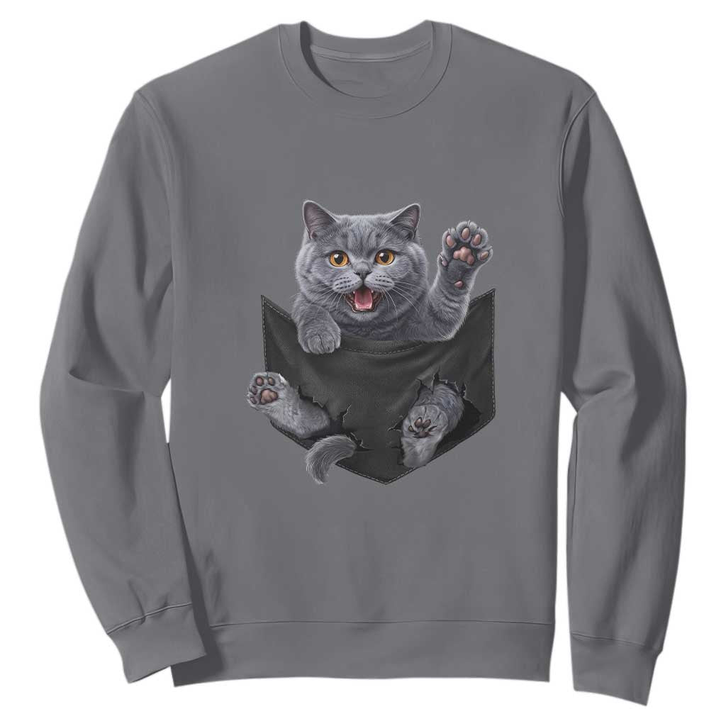 Cute British Shorthair Cat In Pocket Sweatshirt Cat Lover TS12 Charcoal Print Your Wear