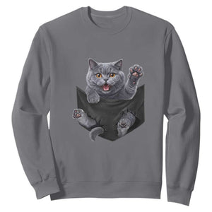 Cute British Shorthair Cat In Pocket Sweatshirt Cat Lover TS12 Charcoal Print Your Wear