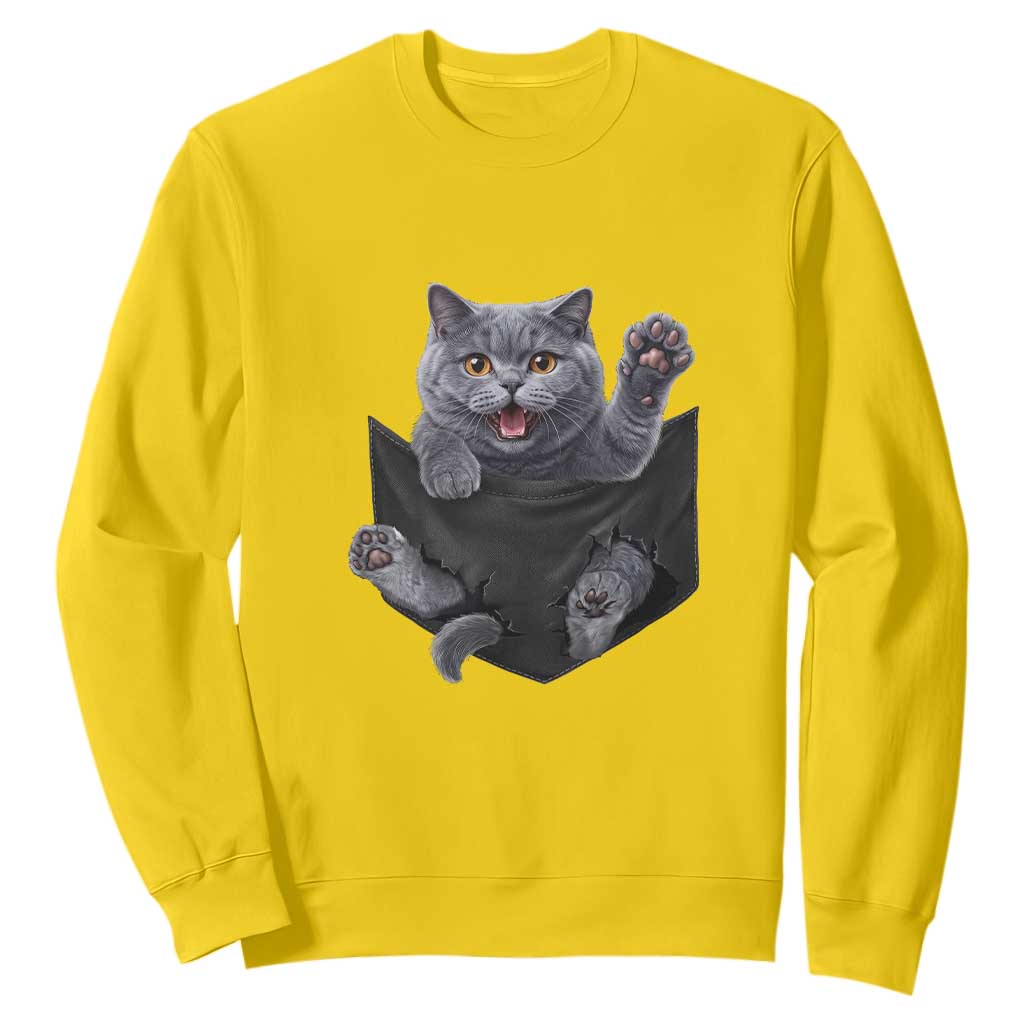 Cute British Shorthair Cat In Pocket Sweatshirt Cat Lover TS12 Daisy Print Your Wear