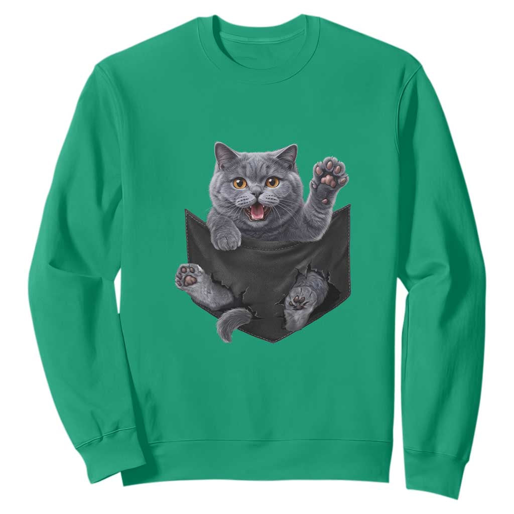 Cute British Shorthair Cat In Pocket Sweatshirt Cat Lover TS12 Irish Green Print Your Wear