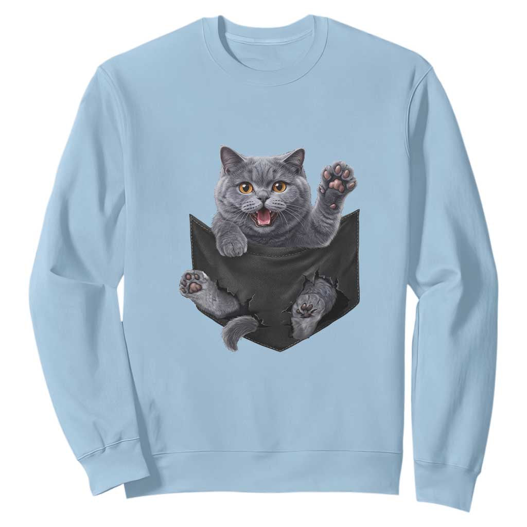 Cute British Shorthair Cat In Pocket Sweatshirt Cat Lover TS12 Light Blue Print Your Wear