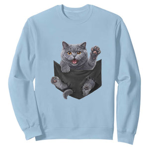 Cute British Shorthair Cat In Pocket Sweatshirt Cat Lover TS12 Light Blue Print Your Wear