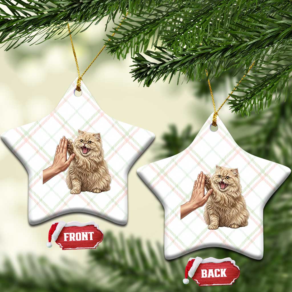 Cute Persian Cat High Five Ceramic Ornament Cat Lover TS12 Print Your Wear