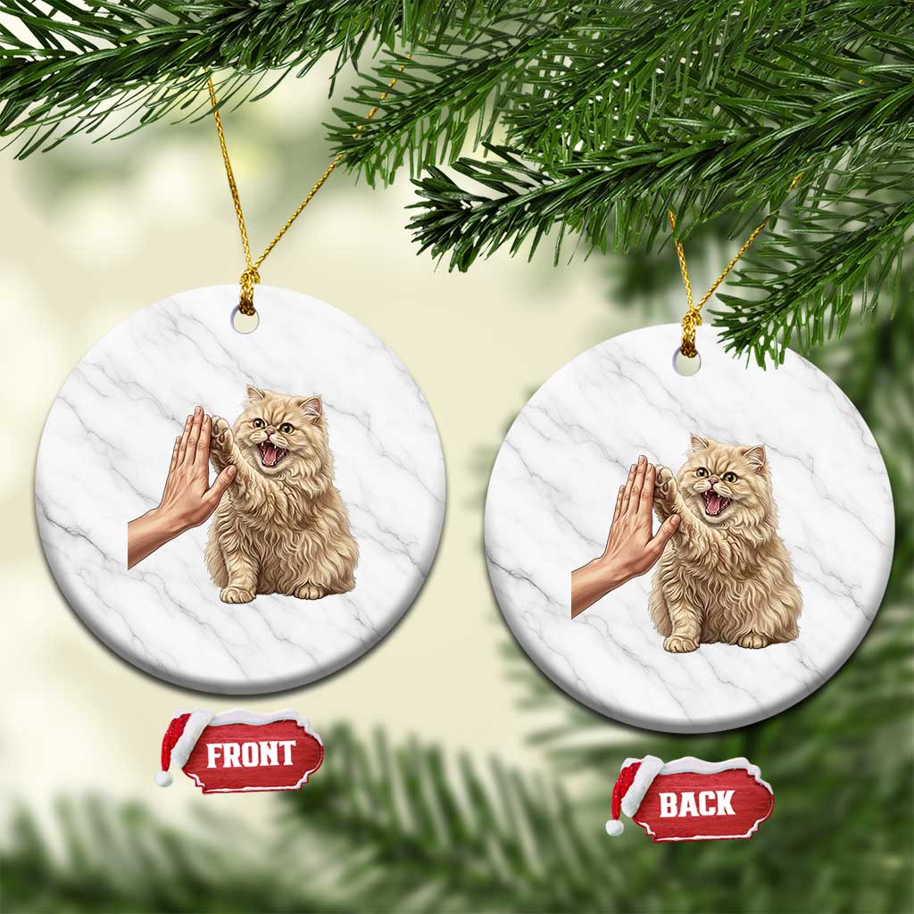 Cute Persian Cat High Five Ceramic Ornament Cat Lover TS12 1pc White Marble Print Your Wear