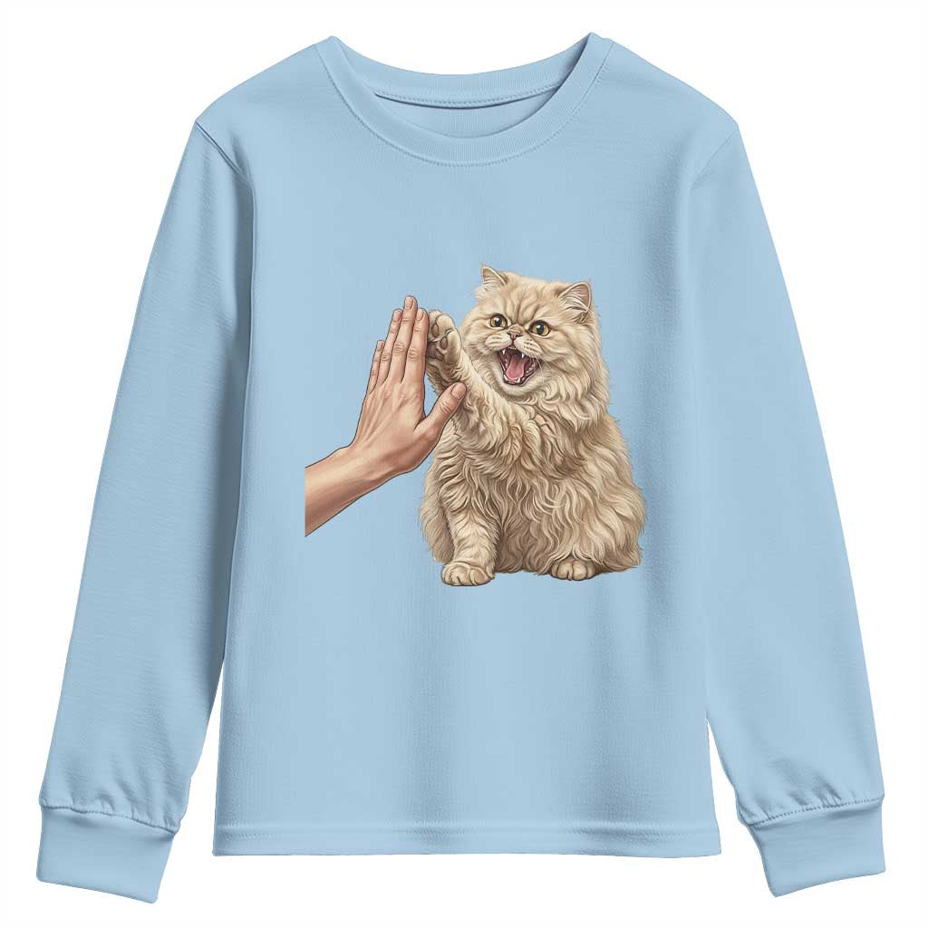 Cute Persian Cat High Five Youth Sweatshirt Cat Lover TS12 Light Blue Print Your Wear