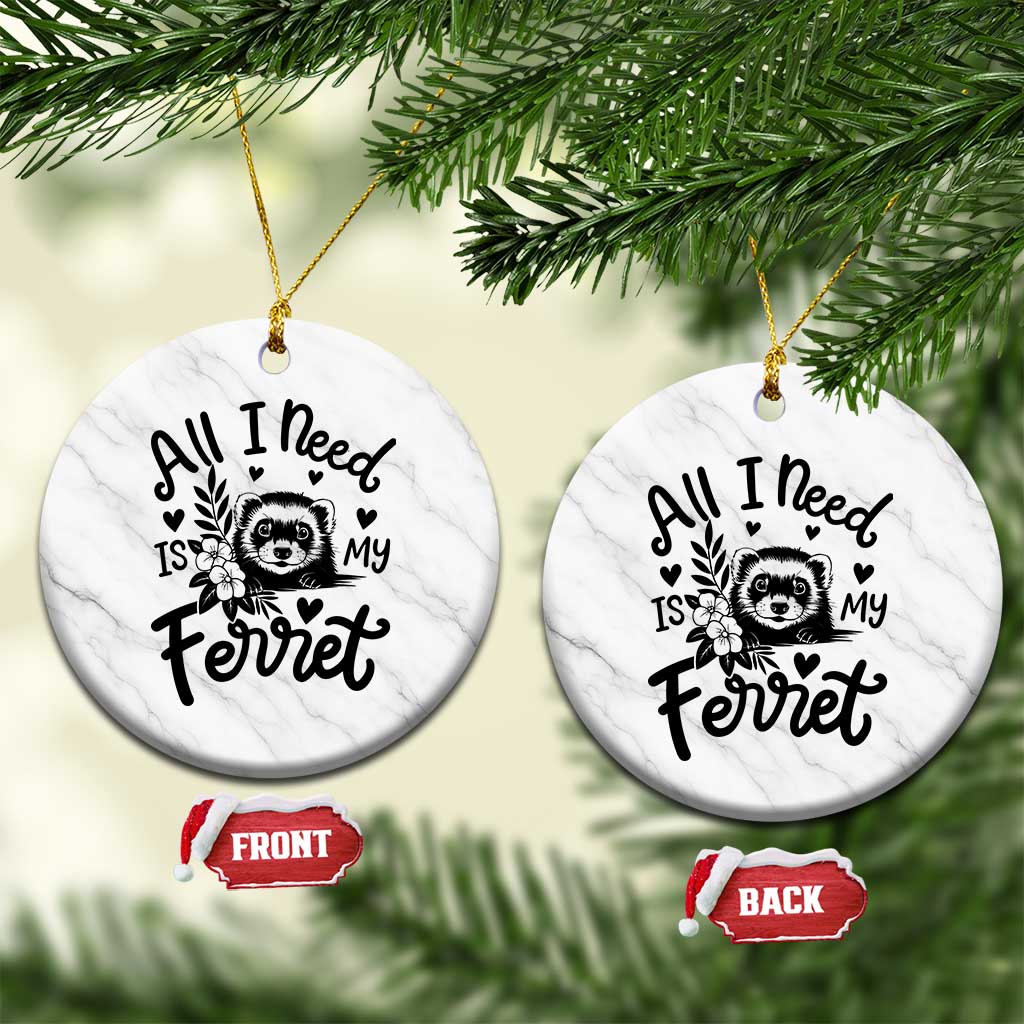 All I Need Is My Ferret Ceramic Ornament Cute Exotic Pet Owner Gift TS12 1pc White Marble Print Your Wear