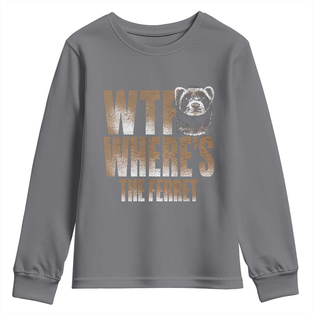 Funny Polecat Ferret Gift Youth Sweatshirt WTF Where Is The Ferret TS12 Charcoal Print Your Wear