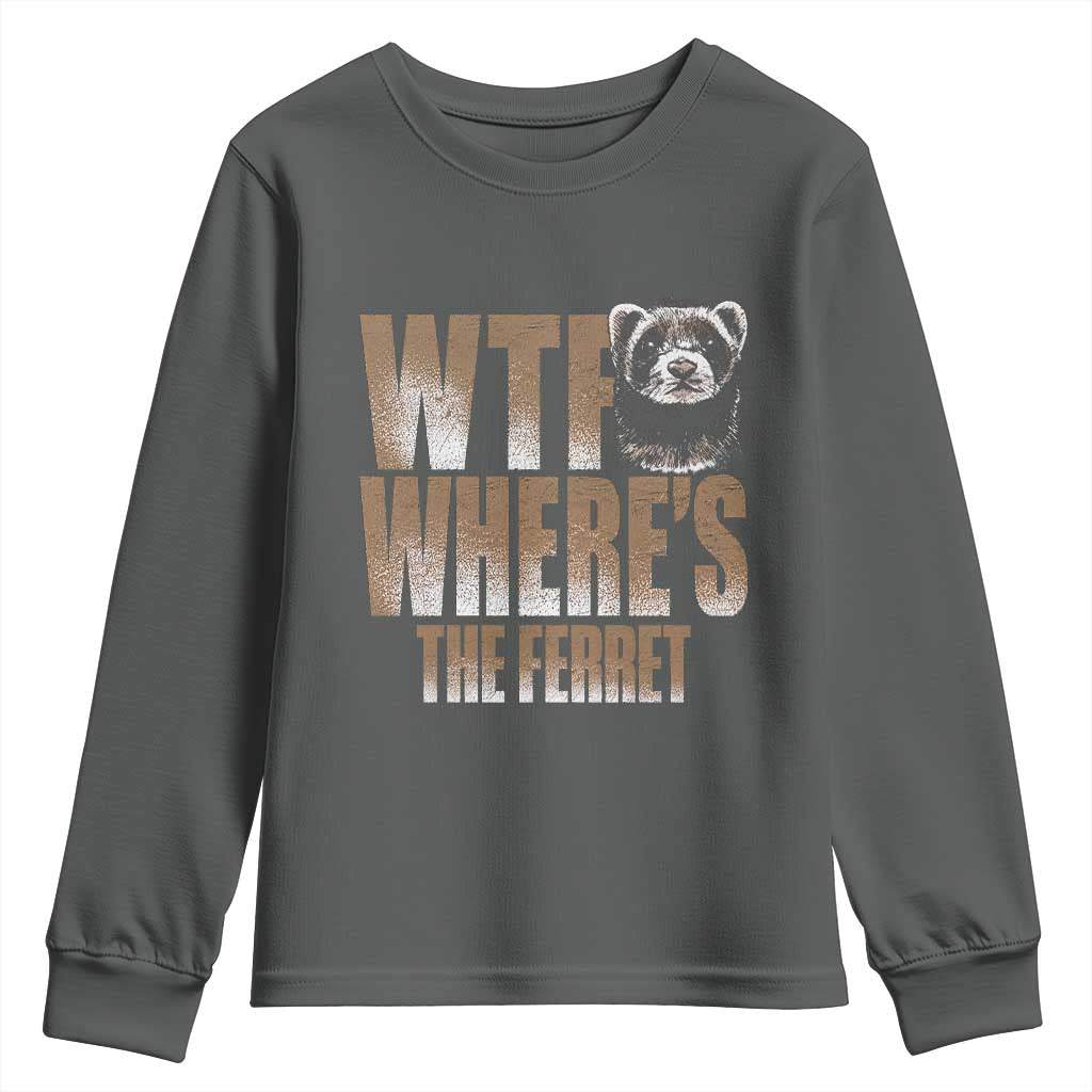 Funny Polecat Ferret Gift Youth Sweatshirt WTF Where Is The Ferret TS12 Dark Heather Print Your Wear