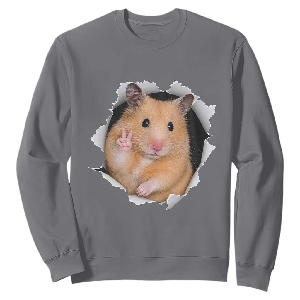 Funny Curious Hamster Peeking Through A Cracked Wall Meme Sweatshirt TS12 Charcoal Print Your Wear
