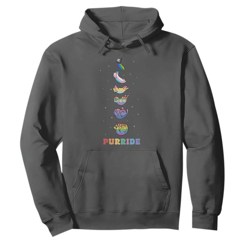 Purride Rainbow Cat Moon Cycles Hoodie LGBQT Pride Feline Space TS12 Dark Heather Print Your Wear