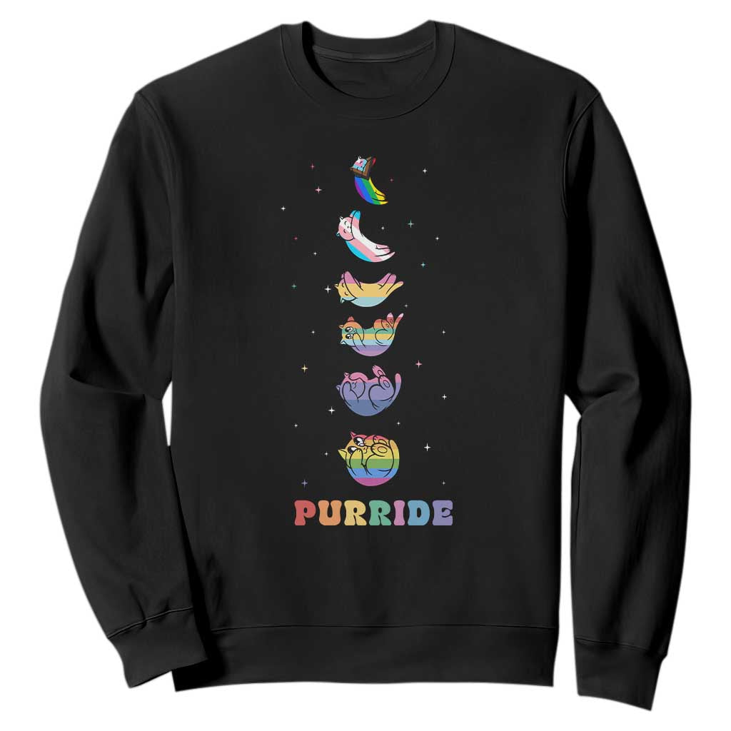 Purride Rainbow Cat Moon Cycles Sweatshirt LGBQT Pride Feline Space TS12 Black Print Your Wear