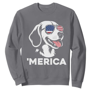 Funny Merica Beagle Lover 4th Of July Sweatshirt Patriotic Dog Gift TS12 Charcoal Print Your Wear