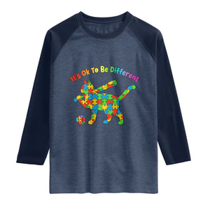 Autism Acceptance Baseball Cat Raglan Shirt It Is Ok To Be Different TS12 Heather Denim Navy Print Your Wear