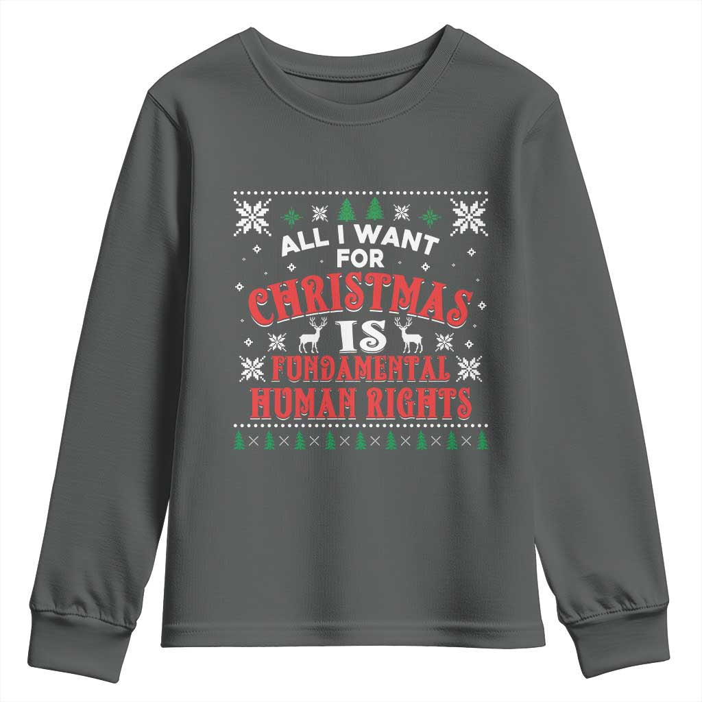 Christmas Gift For Fundamental Human Rights Supporters Youth Sweatshirt TS12 Dark Heather Print Your Wear