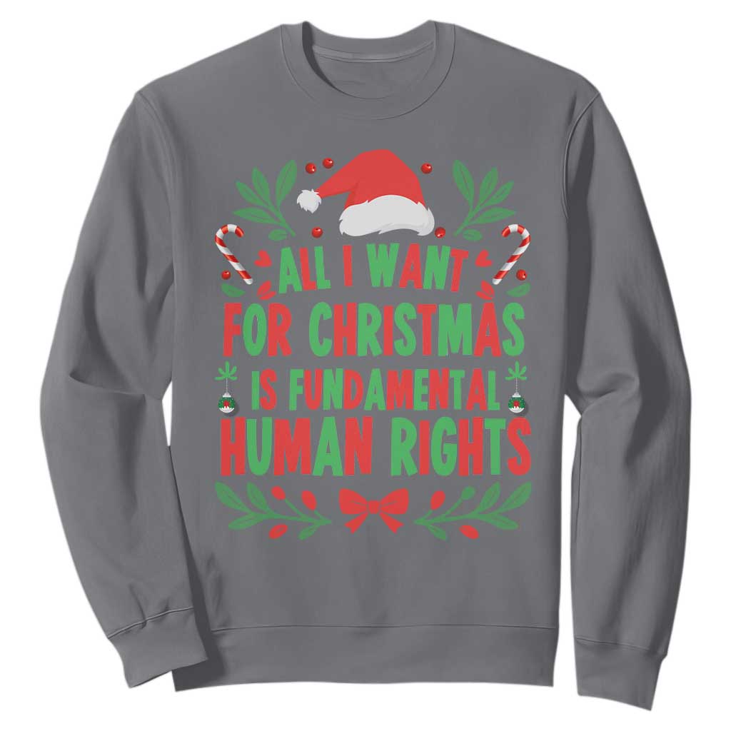 All I Want For Christmas Is Fundamental Human Rights Sweatshirt Pro Democracy Xmas Gift TS12 Charcoal Print Your Wear