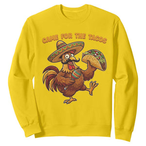 Funny Cinco De Mayo Chicken Sweatshirt Came For The Tacos TS12 Daisy Print Your Wear