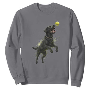 Playful Black Labrador Fetching Chasing Tennis Ball Sweatshirt TS12 Charcoal Print Your Wear