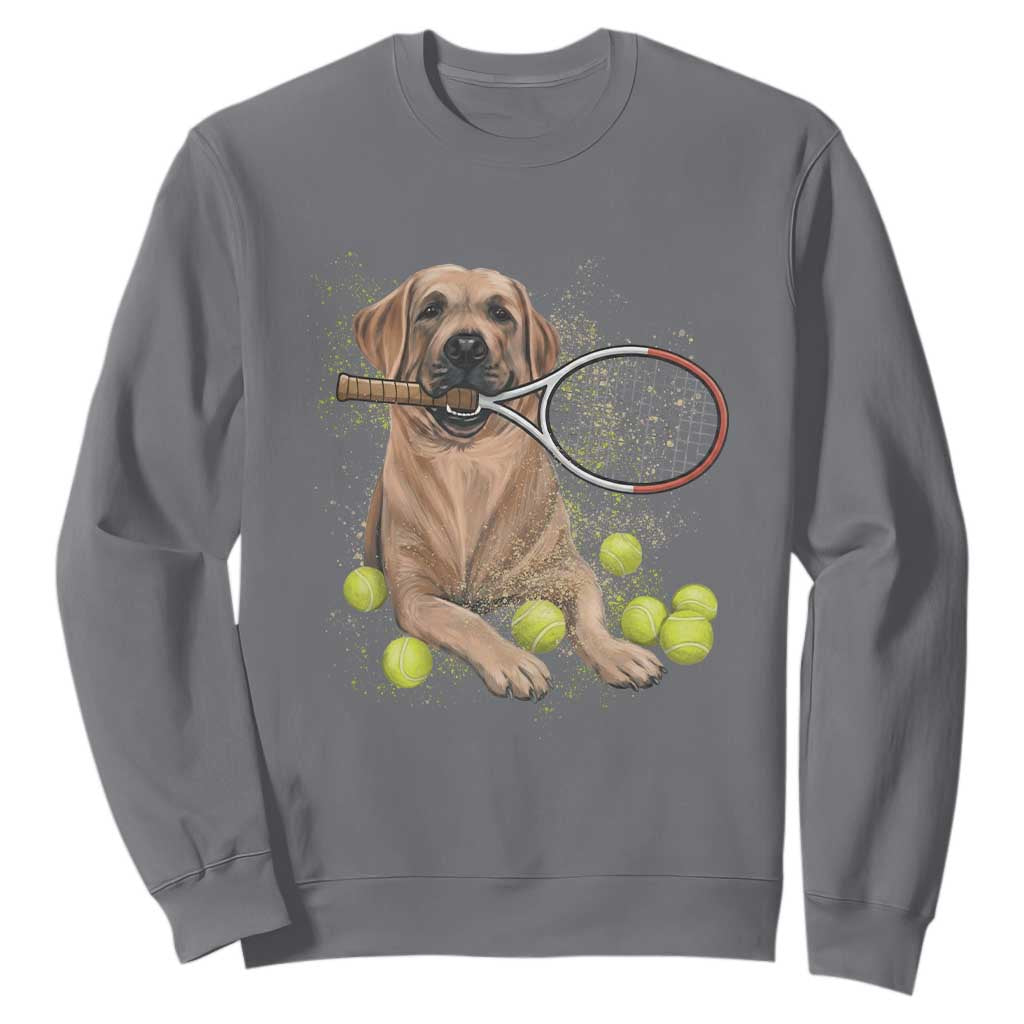 Funny Labrador Dog Playing Tennis Ball Sweatshirt Pet Lover Gift TS12 Charcoal Print Your Wear