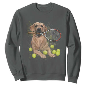 Funny Labrador Dog Playing Tennis Ball Sweatshirt Pet Lover Gift TS12 Dark Heather Print Your Wear