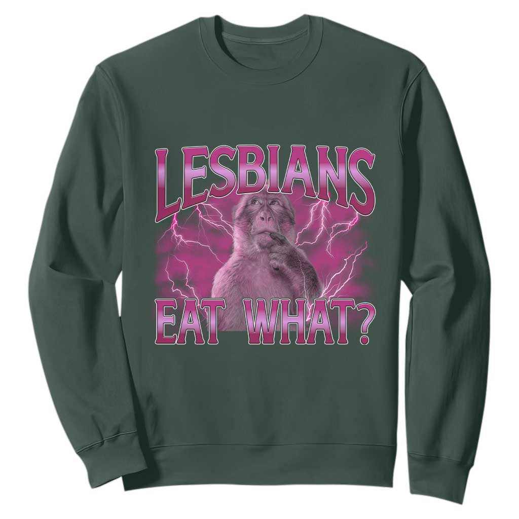 Funny Monkey Meme Lesbians Eat What Sweatshirt LGBTQ Pride Gift TS12 Dark Forest Green Print Your Wear