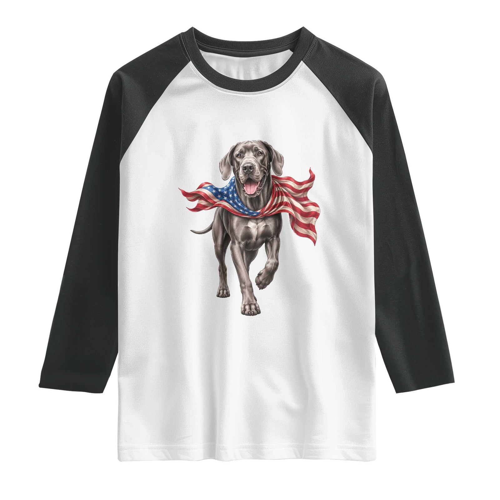Patriotic Great Dane American Flag Raglan Shirt USA Pride Dog Lover Gift