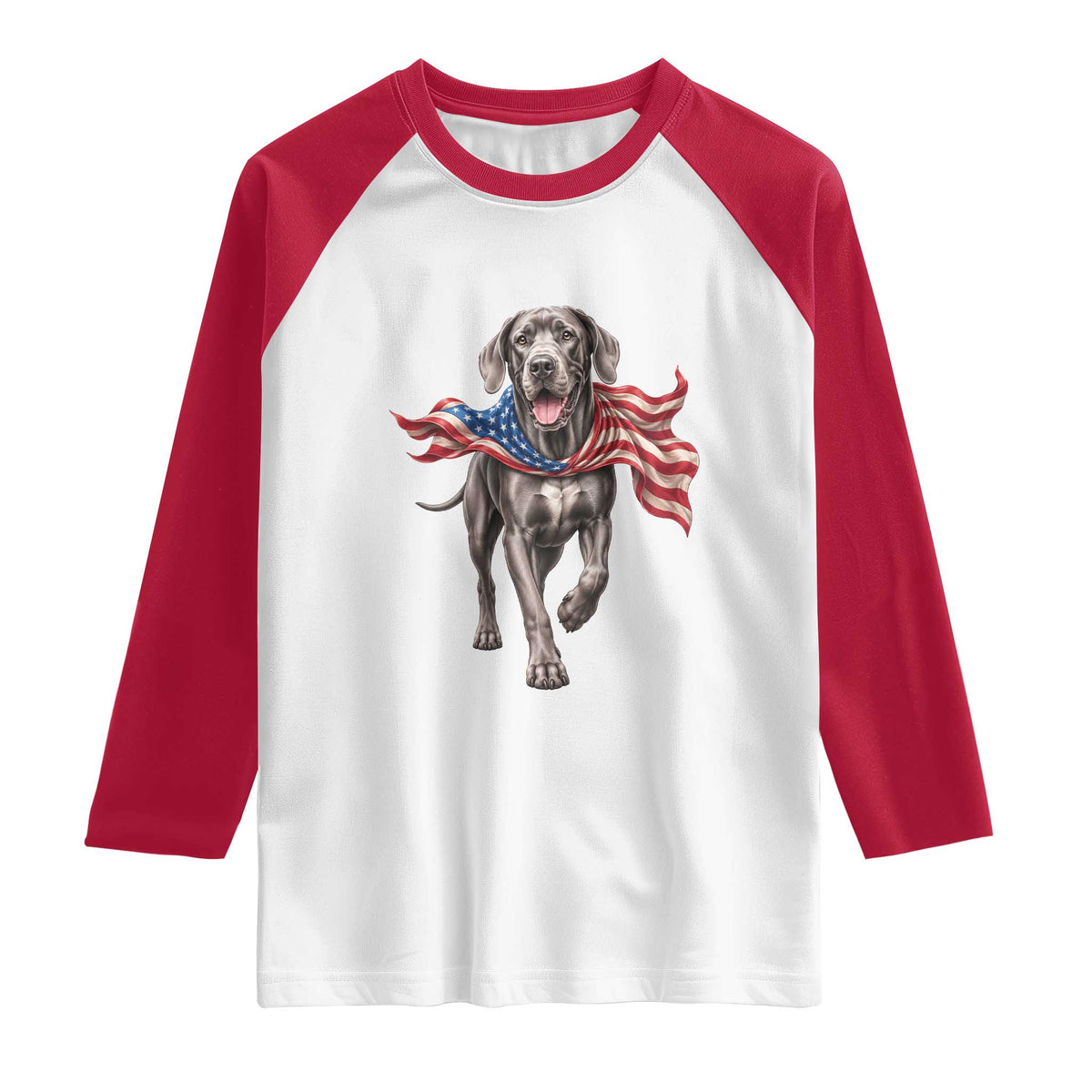Patriotic Great Dane American Flag Raglan Shirt USA Pride Dog Lover Gift