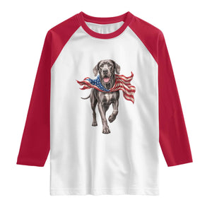 Patriotic Great Dane American Flag Raglan Shirt USA Pride Dog Lover Gift