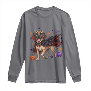 Cute Halloween Great Dane Dog Pumpkin Ghost and Witch T-Shirt Long Sleeve Shirt